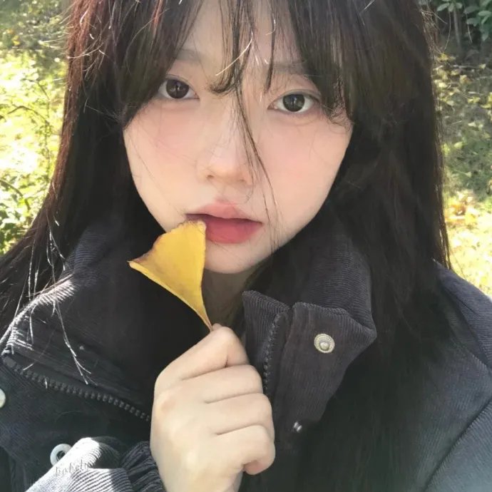 娇凤三姐妹